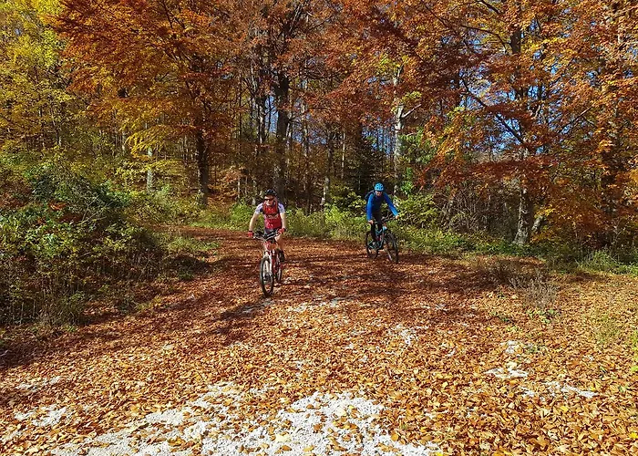Zidanica Ravbar Casa vacanze